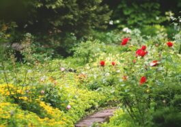 Gartengestaltungstrends und Pflegetipps für jede Jahreszeit