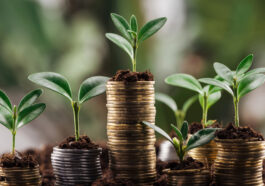 Finanzielle Resilienz in Krisenzeiten – Welche Rolle Tagesgeld beim Vermögensschutz spielt